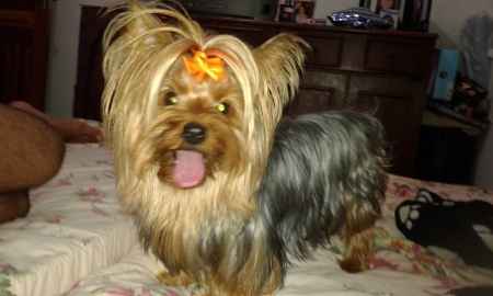 Esse é meu amor! qual é o seu? - 2