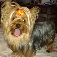 Esse é meu amor! qual é o seu? - 2