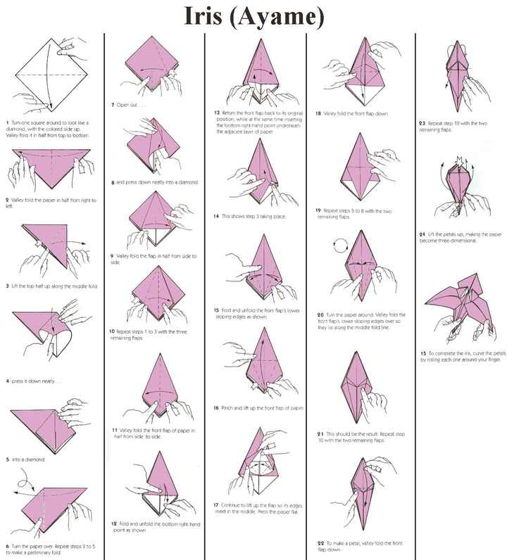 Lírio de Origami 2