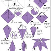 Lírio de Origami 1