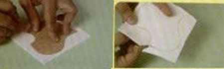 flor copo de leite