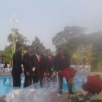 meus padrinhos 
