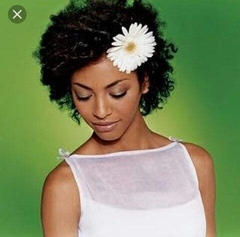 Inspirações para cabelos crespos-black - 2