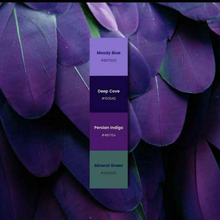 Cores que compõe e combinam com lilas - 2