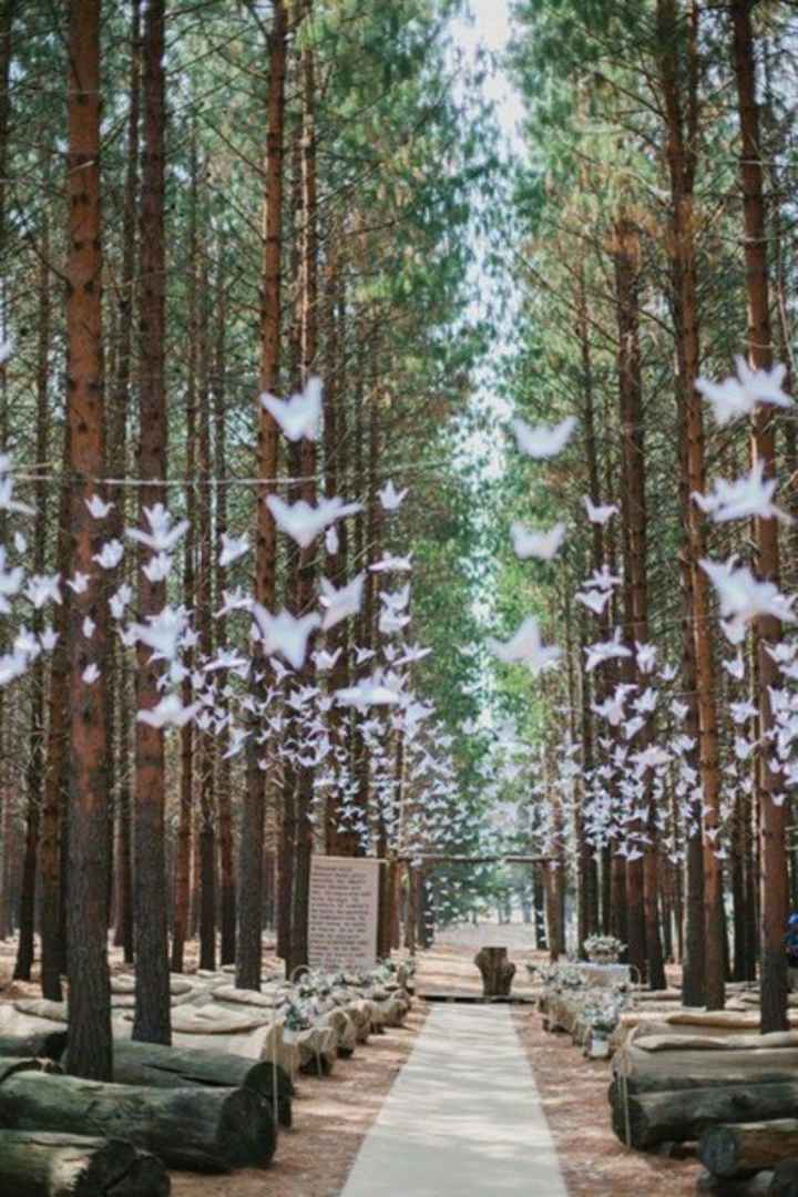 Casamento para amantes de livros - 15
