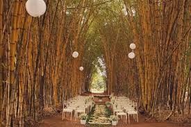 Casamento ao ar livre - Bambuzal 1