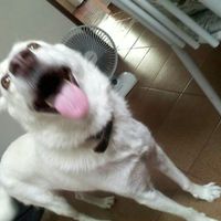 Entrada da aliança - 1