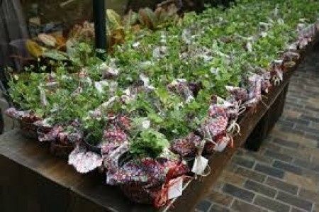 Lembrancinhas Sustentáveis