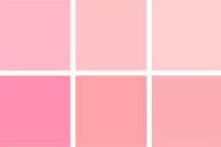 Paleta de cores 