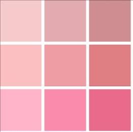 paleta de cores para vestido 