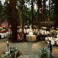  Casamento com tema medieval. - 4