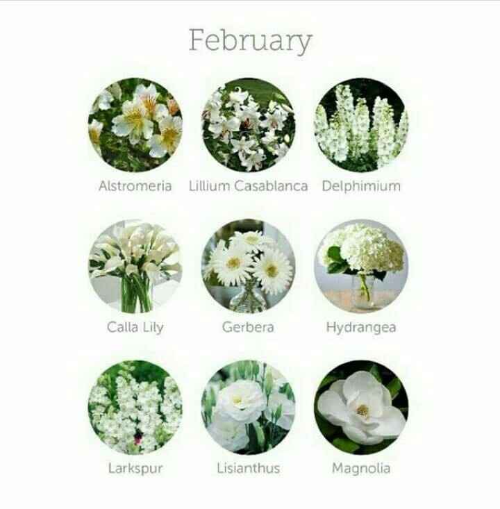 Quais flores usar ?