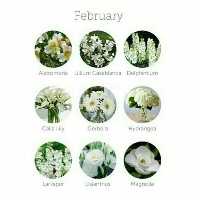 Quais flores usar ?