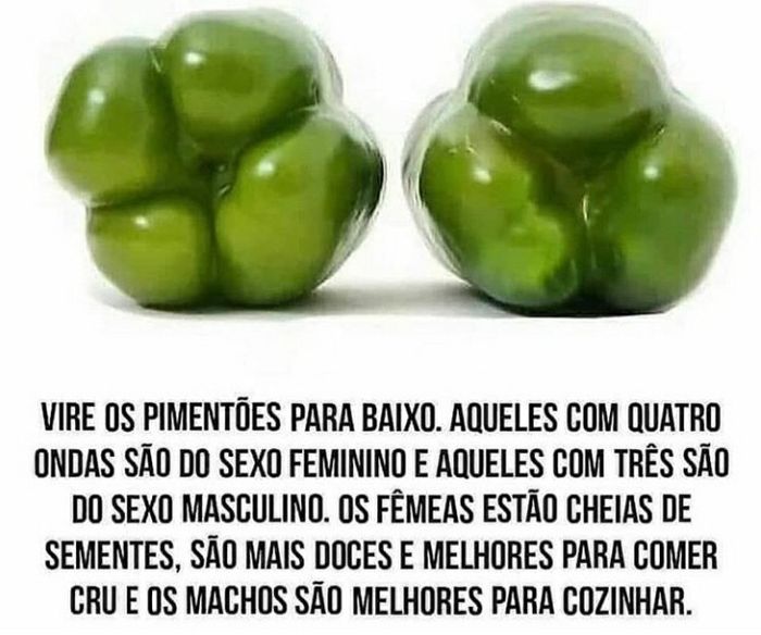 Dicas de receitas e de cozinha 1