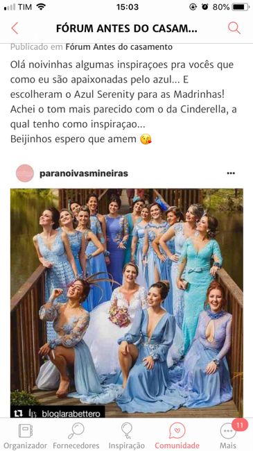 Paleta de cores do Casamento e Vestido das Madrinhas 2