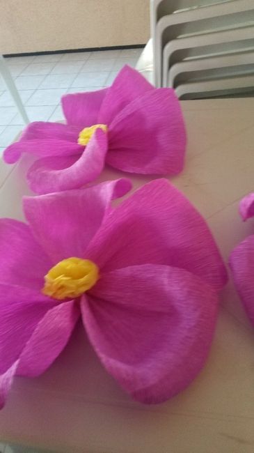Flores