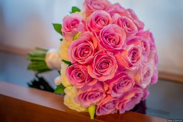 Rosa 