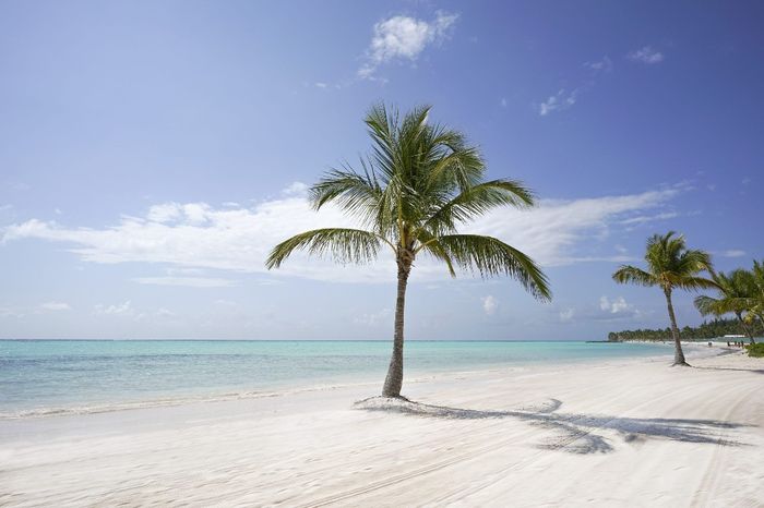 Punta Cana - Imagem da Internet.