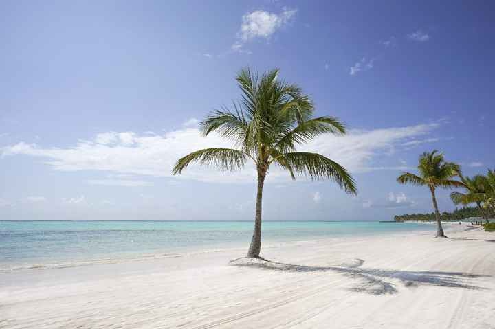 Punta Cana - Imagem da Internet.
