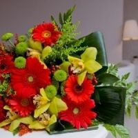 Decoração - ajuda !!  - 2