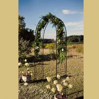 Arco florido