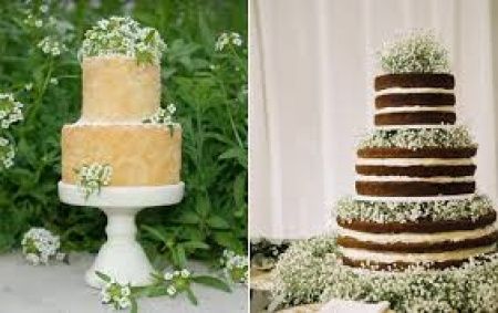 naked cake