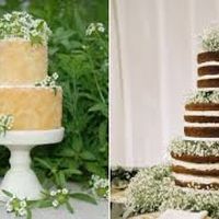 naked cake