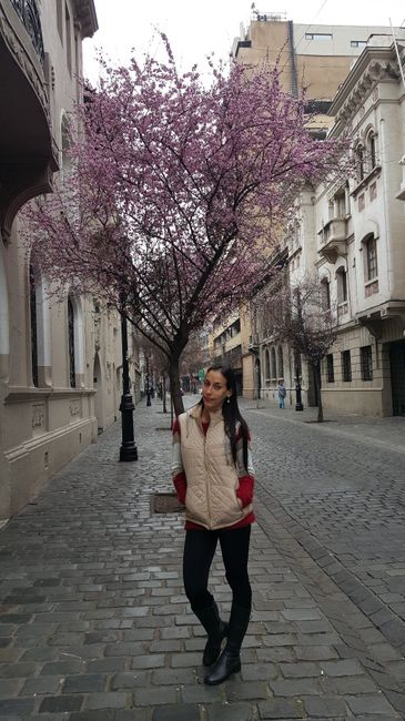 Rua Paris/Londres