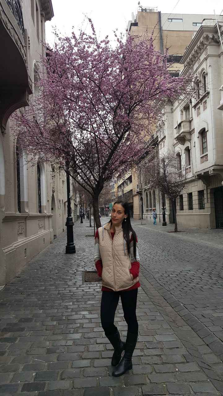 Rua Paris/Londres