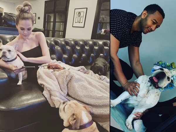John Legend and Chrissy Teigen are parents to Puddy, Penny, Puey and Pippa, apart from baby Luna