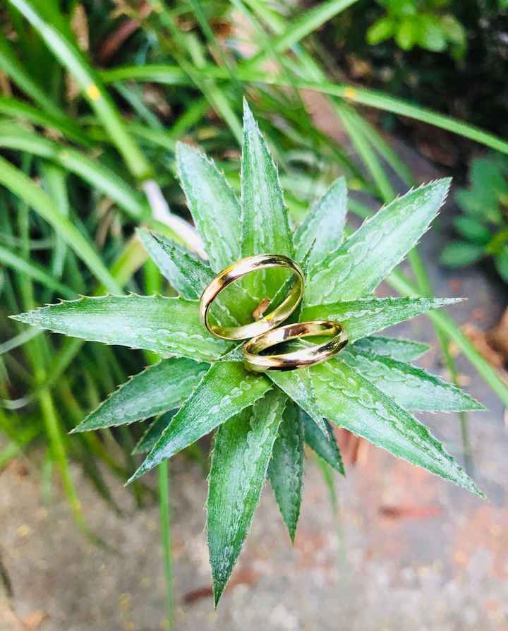 Foto da minha aliança - 2