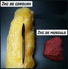 gordura x massa