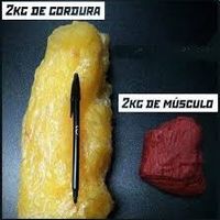 gordura x massa