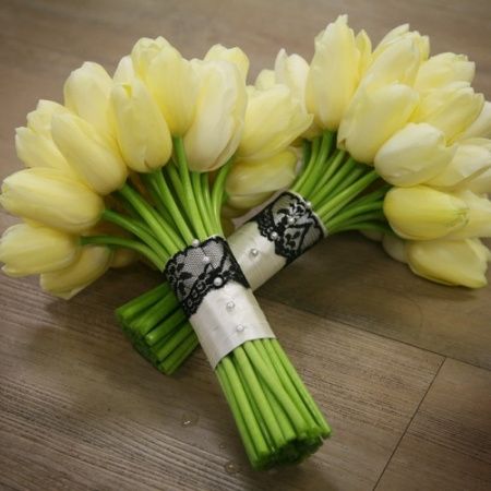 tulipas 