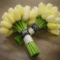tulipas 