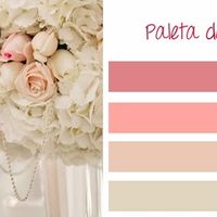 Paleta de cores