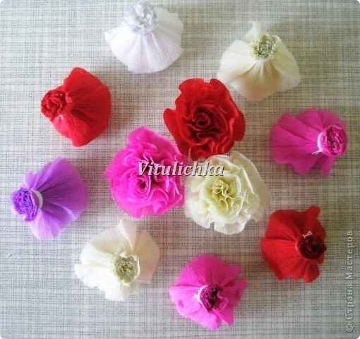 Flores