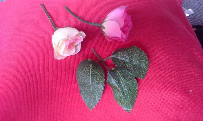 Flores 