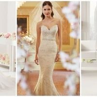 Vestido: 