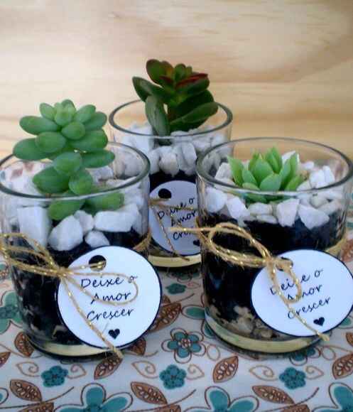 Lembrancinha - vasinhos de planta - 4