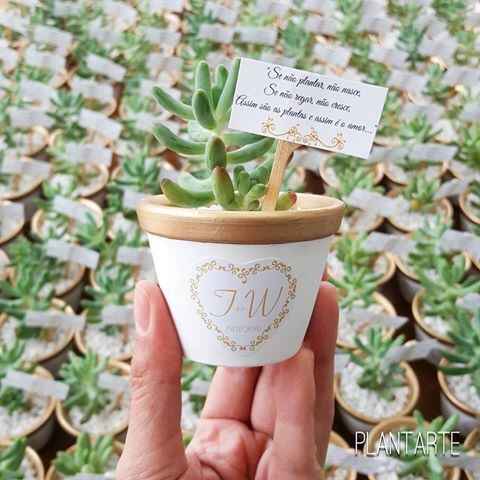Lembrancinha - vasinhos de planta - 5