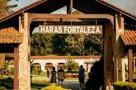 Entrada Haras Fotaleza