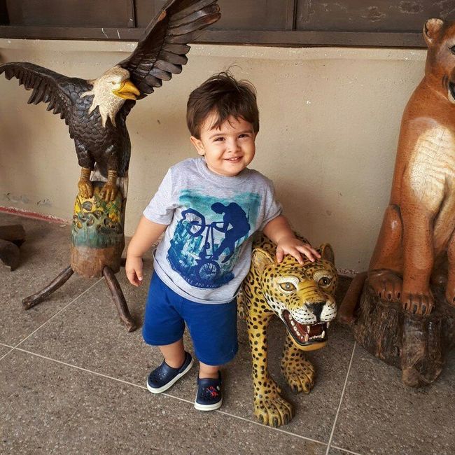 Pajem - Sobrinho 😊 - 2