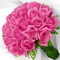 rosa 5