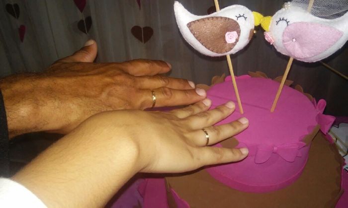 Diário de noiva - Quando ele pediu sua mão em casamento? - 1