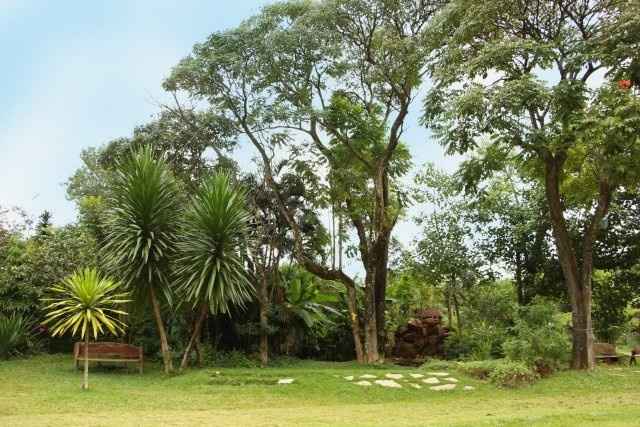 Área verde (onde será a cerimônia) *-*