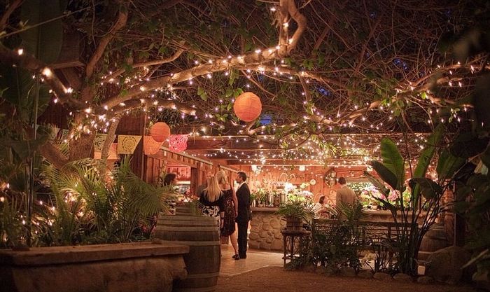 casamento campo - noite 