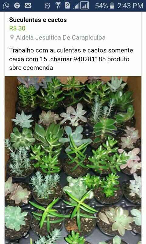  Lembrancinhas ecológicas - 1