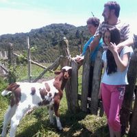 Quillaipe/Puerto Montt/Chile