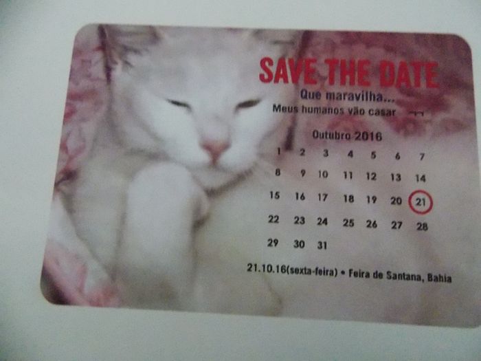 Completamente apaixonada pelo Save